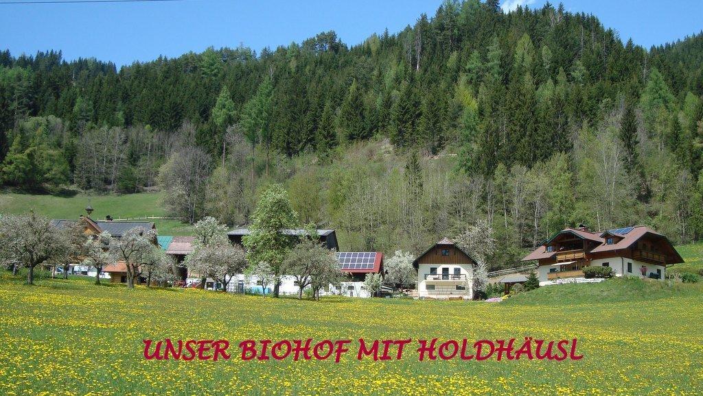 Holdhaeusl Apartment Schladming Bilik gambar