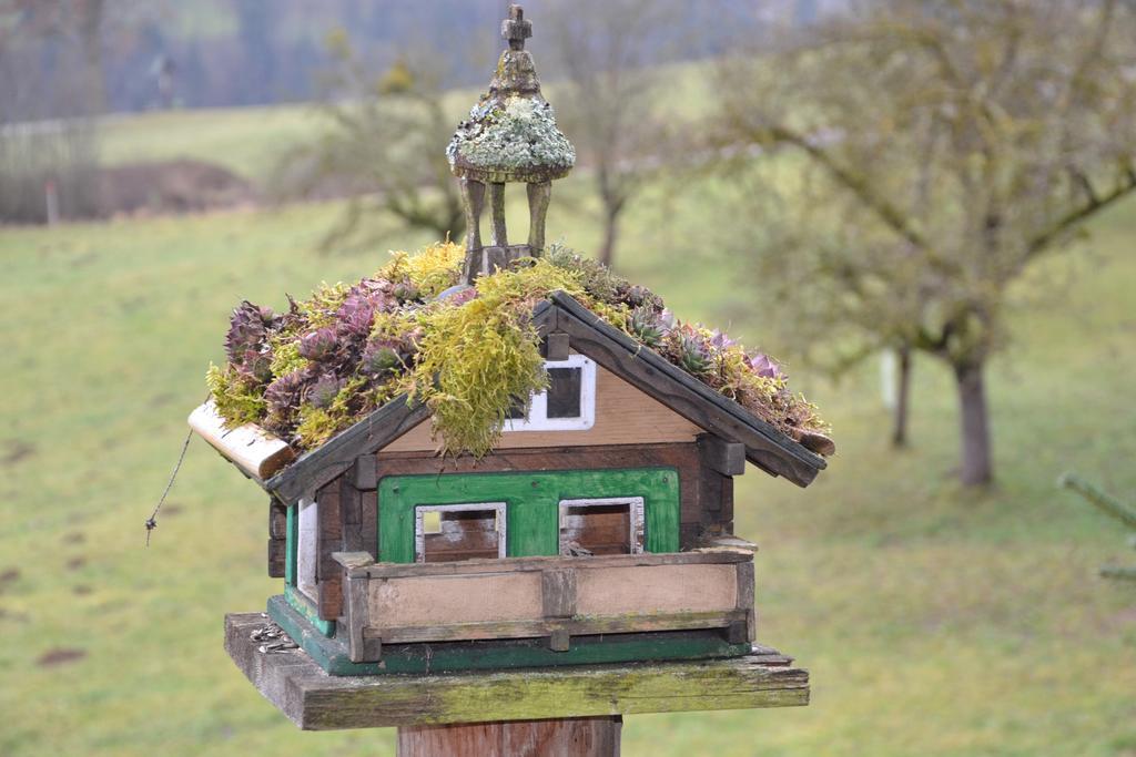 Holdhaeusl Apartment Schladming Bilik gambar